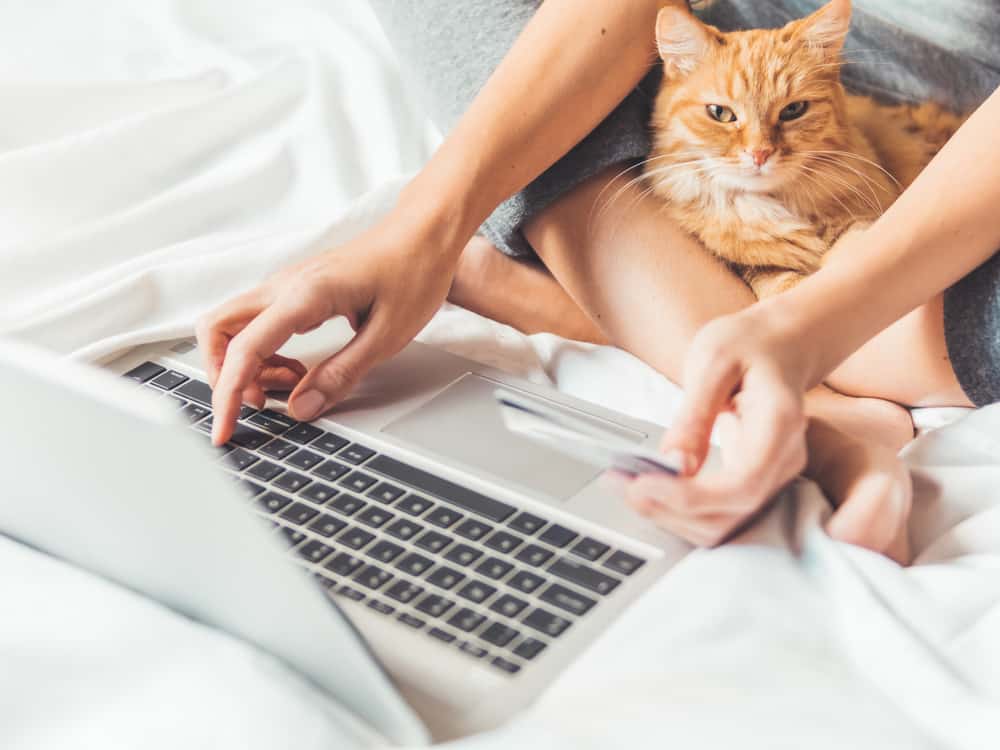 How to Use Laptop in Bed Without Overheating 