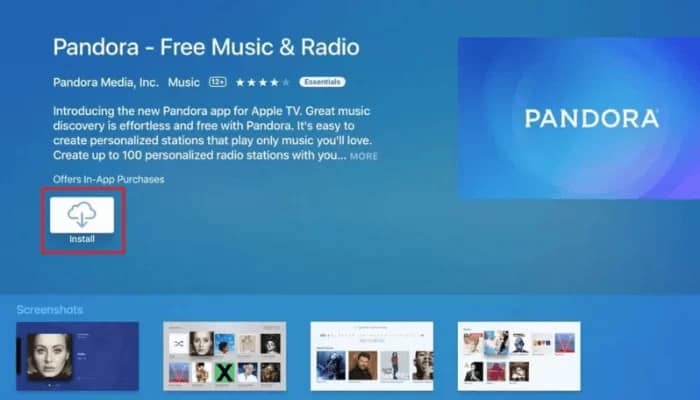 Pandora App Download Screen