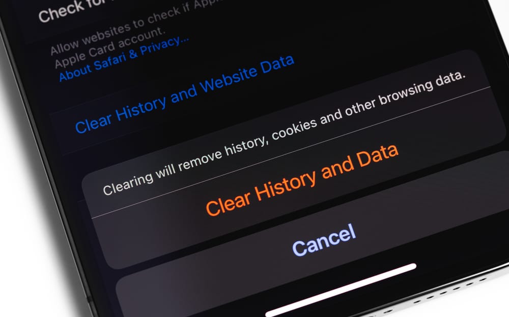 &Quot;Clear History And Data&Quot; Option