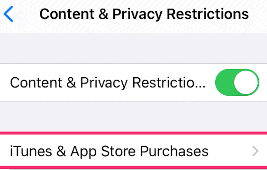 How To Set Up Restrictions On Iphone 3 Image 192