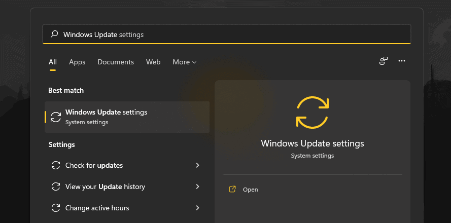 Windows Update search