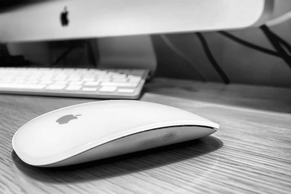 How To Turn On Apple Mouse Step by Step Tutorial DeviceTests