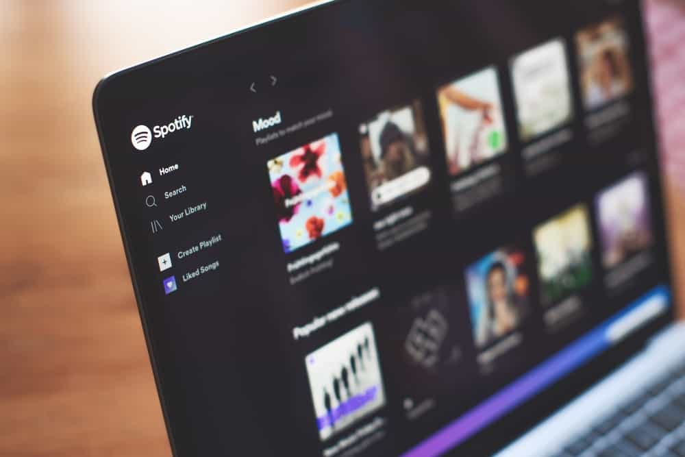 how to update spotify on macbook