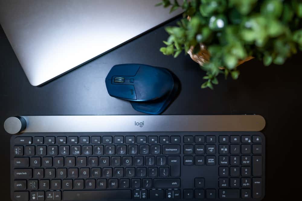  Logitech 5 WIWS