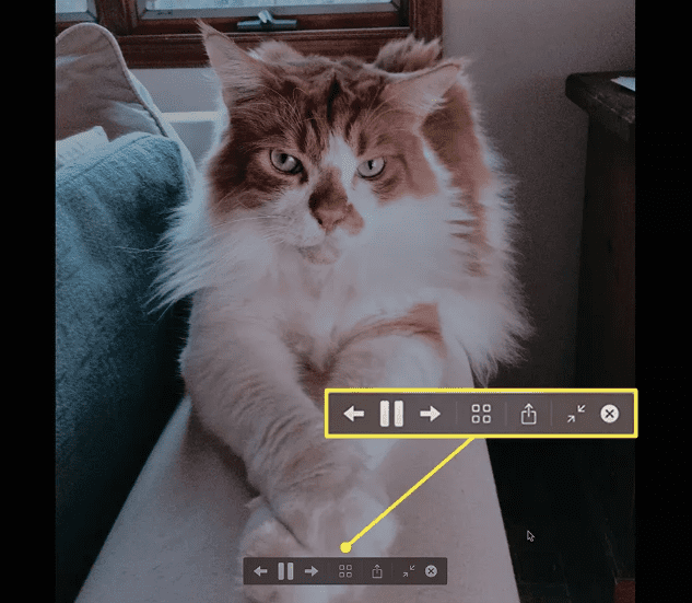 Как открыть файлы Jpg на Mac 3 Изображение 109