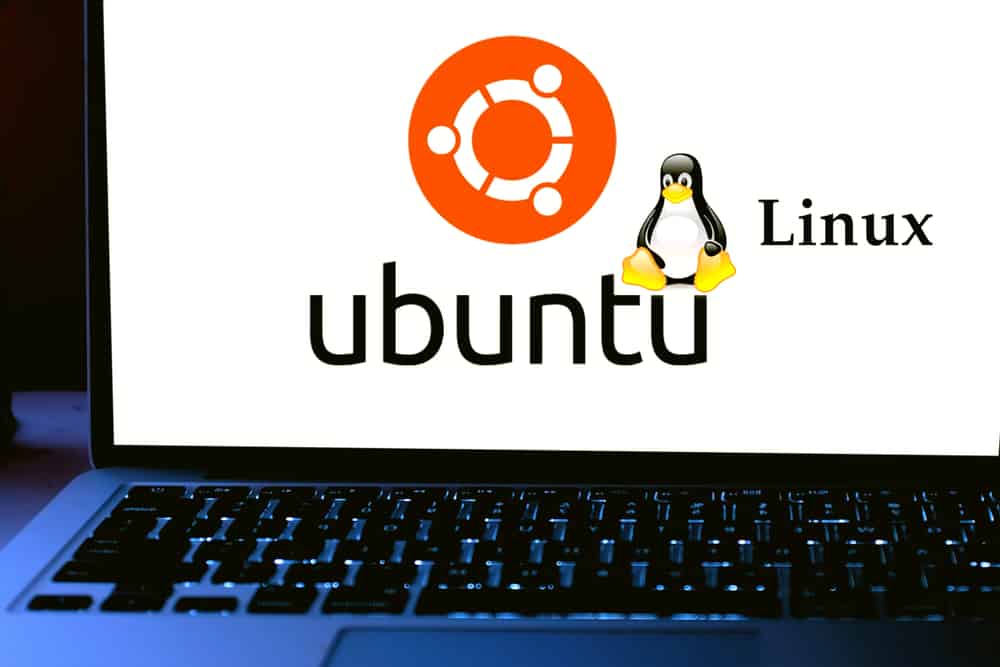 Ubuntu 19